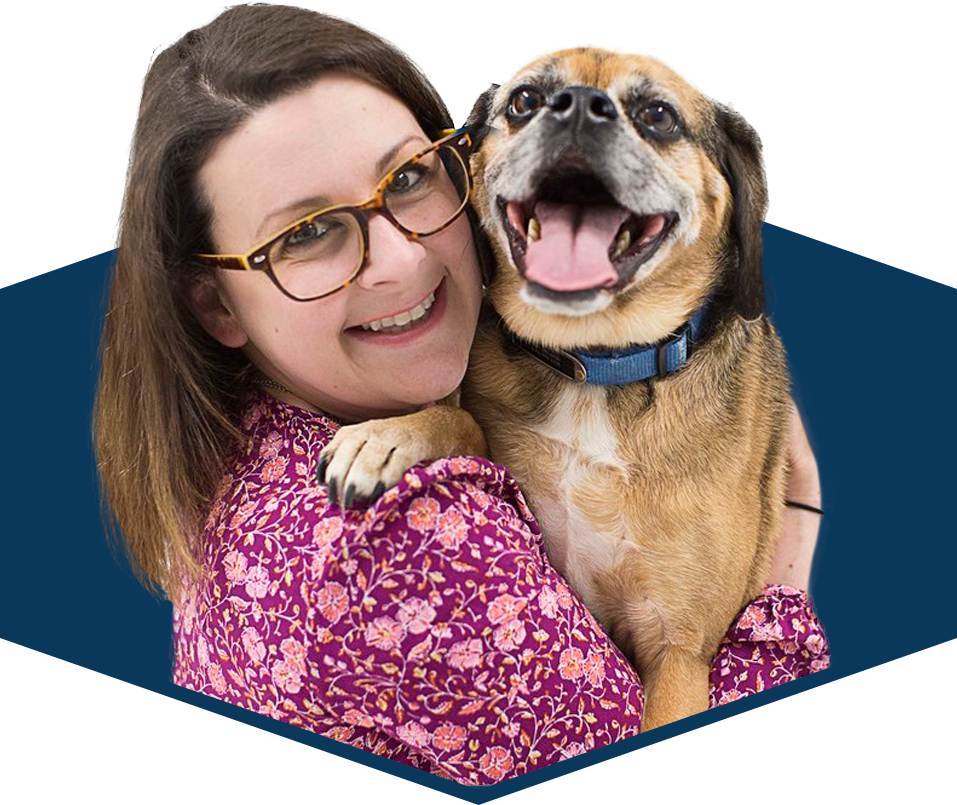 Read more about the article Dog Chews: Which Ones are Right for Your Dog? Q/A Only