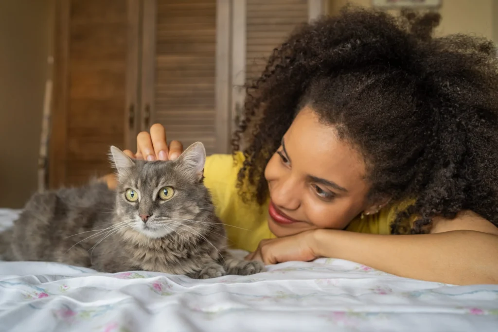 Understanding why cats need taurine. Woman petting a fluffy gray cat