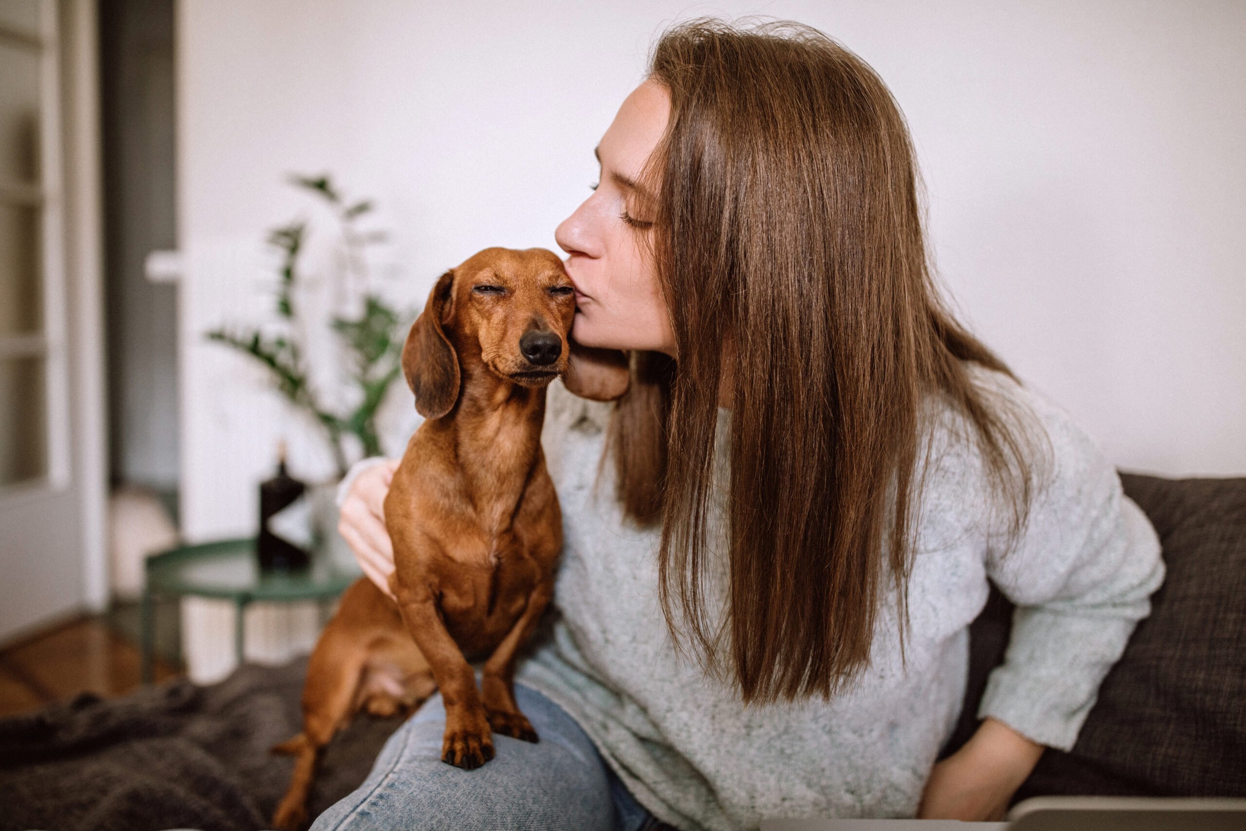Pretty Brunette Woman Kissing Her Favorite Brown Dachshund Dog