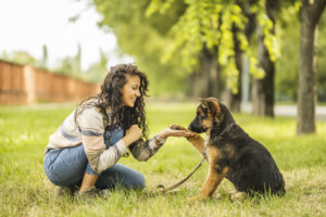 Young woman playing with her German Shepherd dog at the park