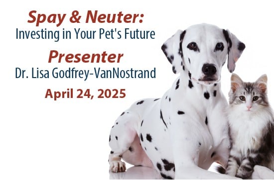 Spay & Neuter