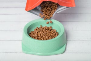 Pouring AAFCO pet food into a bowl on the floor. Close-up.