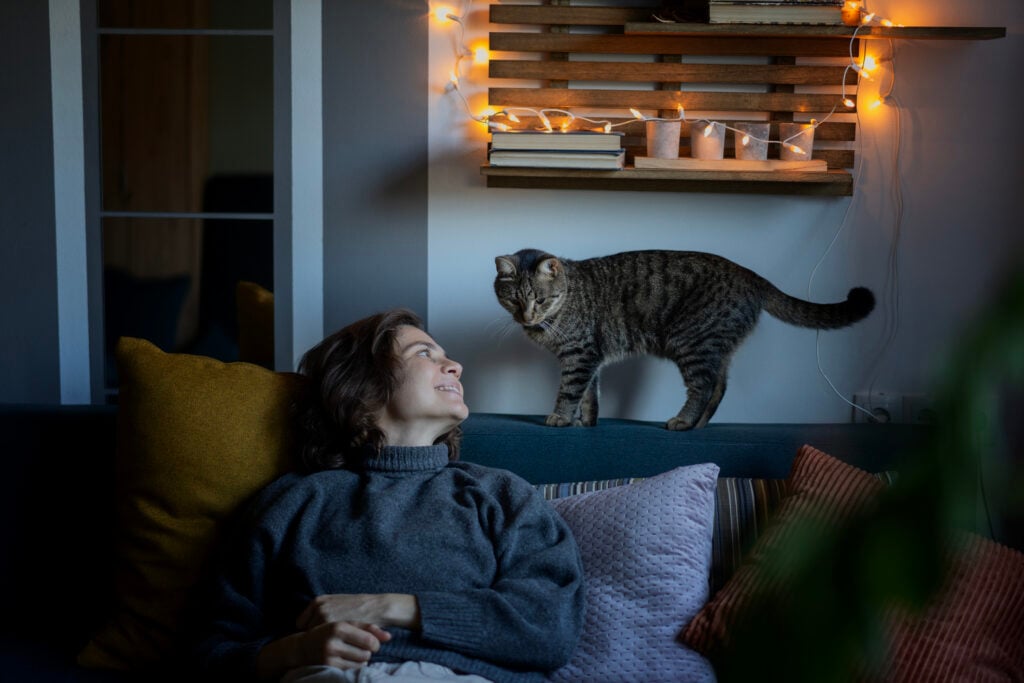 Cute cheerful young woman in her 30s spends time sitting with a gray cat on the sofa at home