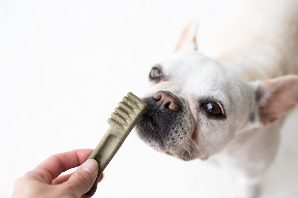 Does your dog's breath stink? Dog dental care concept. Dental treats for dogs. Dog products. Pet care