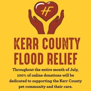Kerrville County Floods Inspire Launch of the Hollywood Feed Emergency Relief Fund