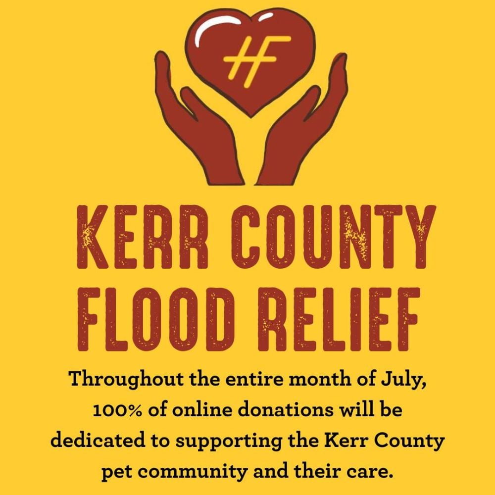 Kerrville County Floods Inspire Launch of the Hollywood Feed Emergency Relief Fund