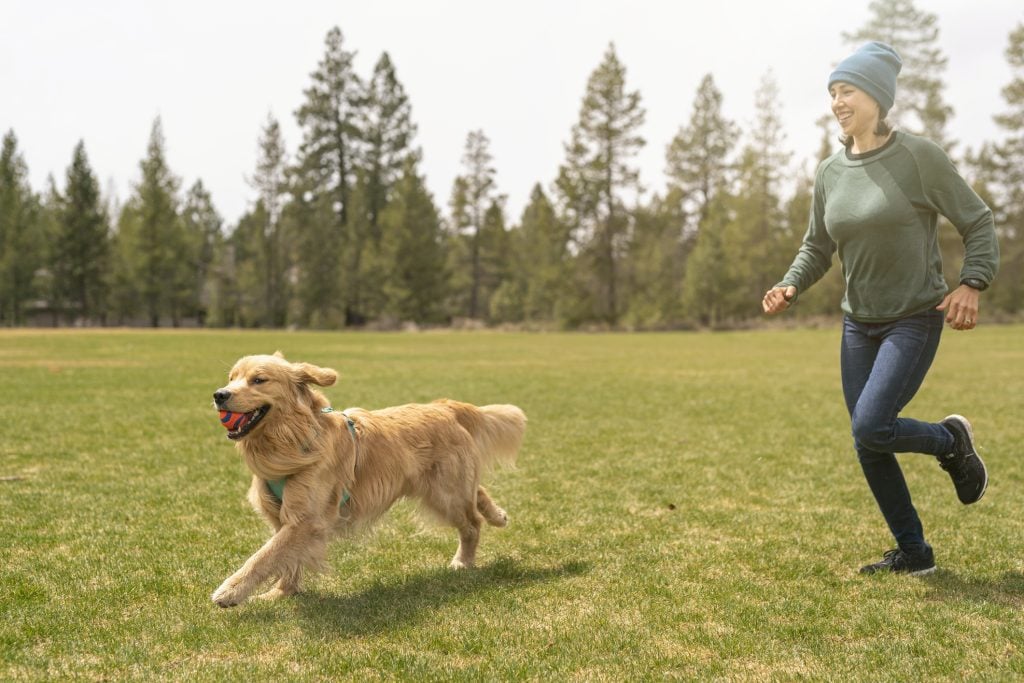 An adorable and energetic golden retriever carries a ball in his mouth while running through a grassy dog park in Oregon. The pet's owner is a young Eurasian woman. The woman is happily chasing the dog. She is wearing a sweater and winter hat because it is a cold yet sunny day in the Pacific Northwest. 