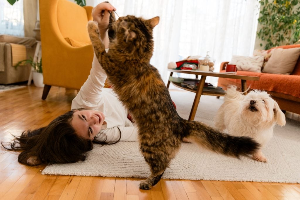 playtime tips for busy pet parents - Girl lying on the floor and playing with her pets