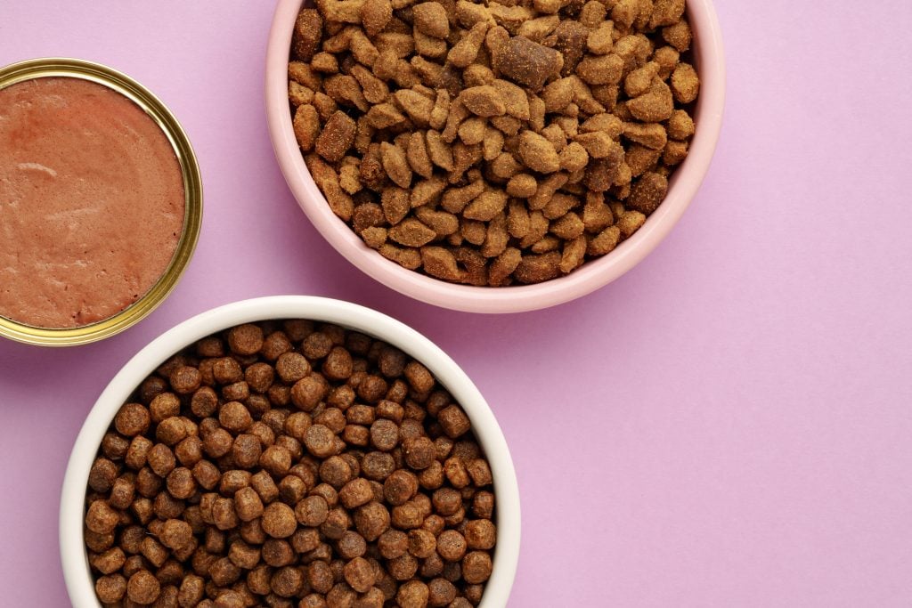 grain free vs. grain in pet foods, Cat & dog food on pink background in studio close up