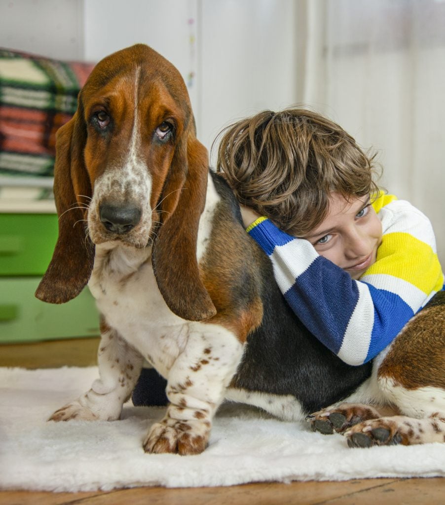 A young boy hugs a calm Basset Hound dog while sitting on a rug at home. The image captures a heartwarming moment of affection and companionship between child and pet, highlighting trust, love, and the special bond between humans and animals. Ideal for use in family, pet care, childhood, and emotional lifestyle concepts.