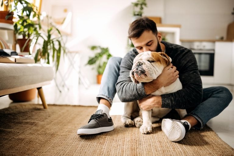 Simplify Pet Care -Young bearded man bonding with his english bulldog