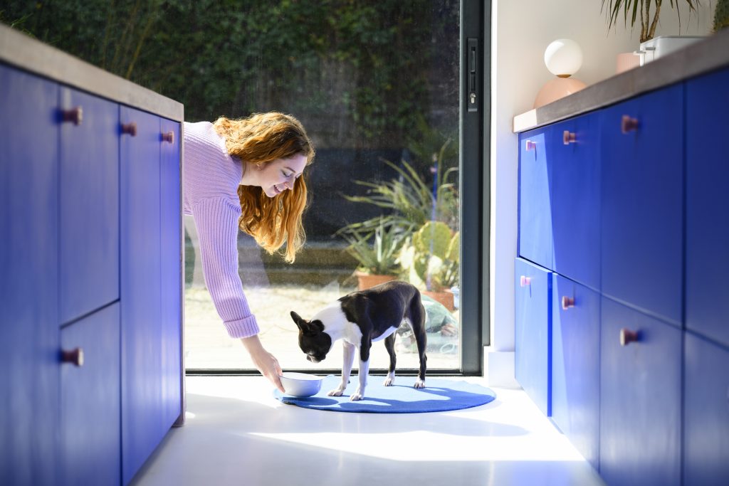 View from kitchen of Caucasian woman with long red hair placing food bowl on mat in front of her polite pet. freeze-dried, dehydrated, or air-dried dog foods