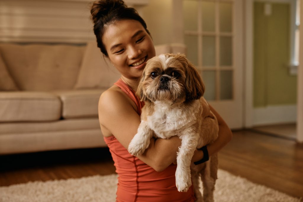 Happy Asian woman holding her Shih Tzu at home while he is looking at camera.