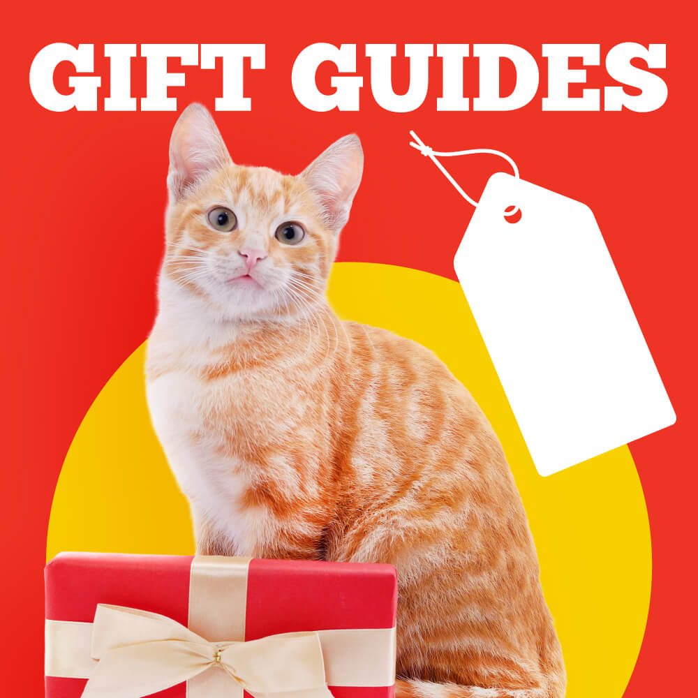 Gift Guides