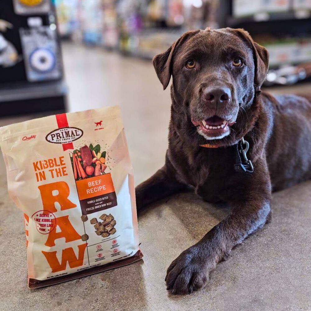 Hollywood Feed recommendations for raw food toppers for dogs and cats