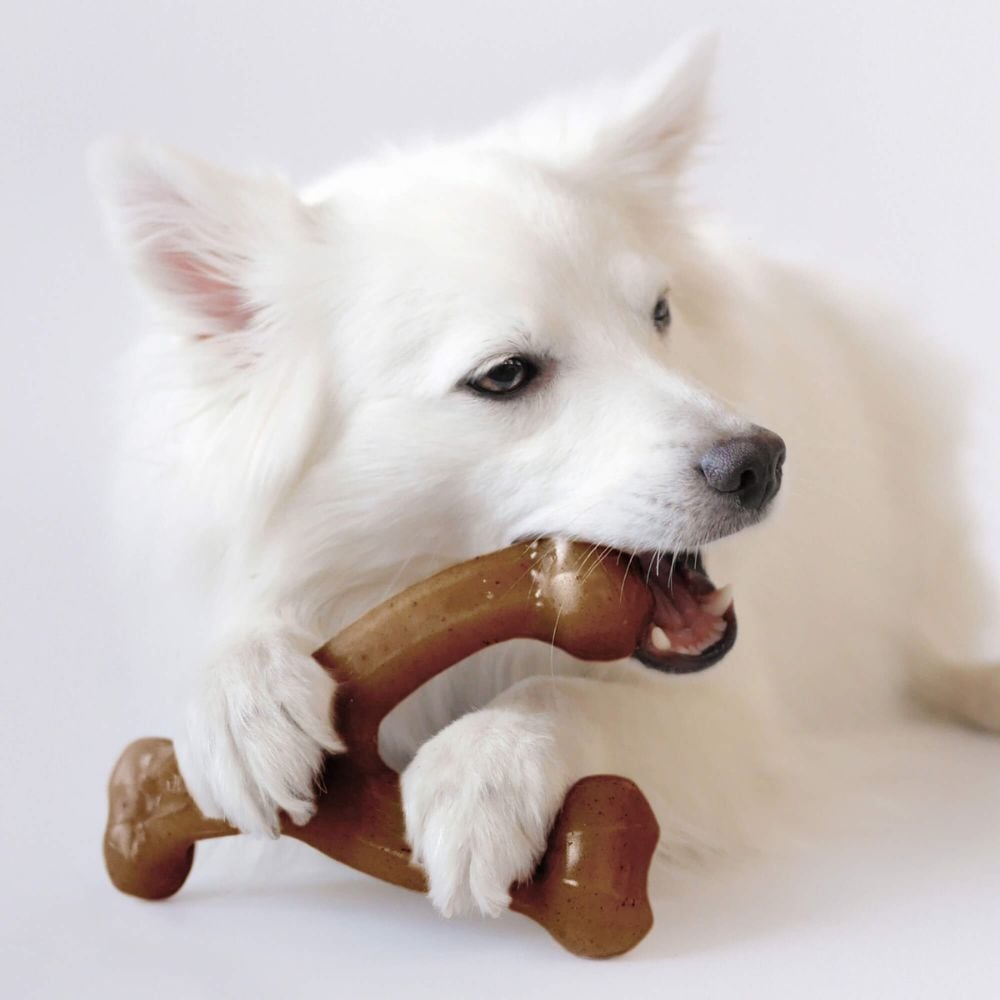 Interactive Toys for Pets Benebone Chews