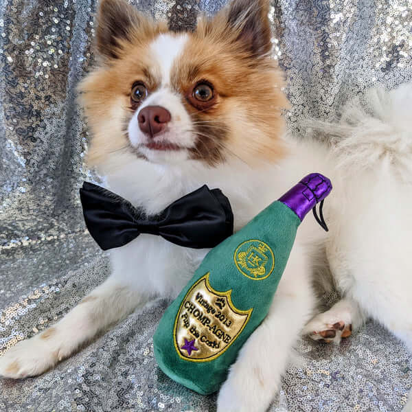 Bow Tie Halloween Costume Ideas for Pets