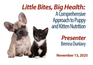 Little Bites, Big Health: A Comprehensive Approach to Puppy and Kitten Nutrition