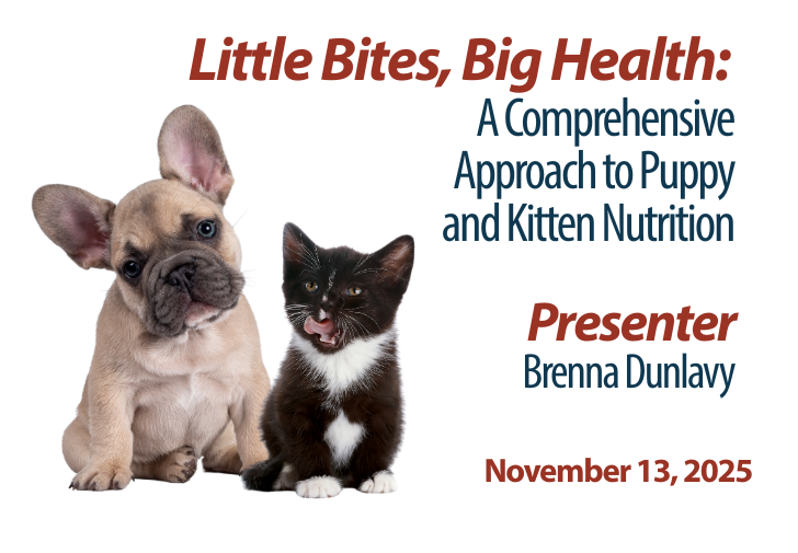 Read more about the article Little Bites, Big Health: A Comprehensive Approach to Puppy and Kitten Nutrition
