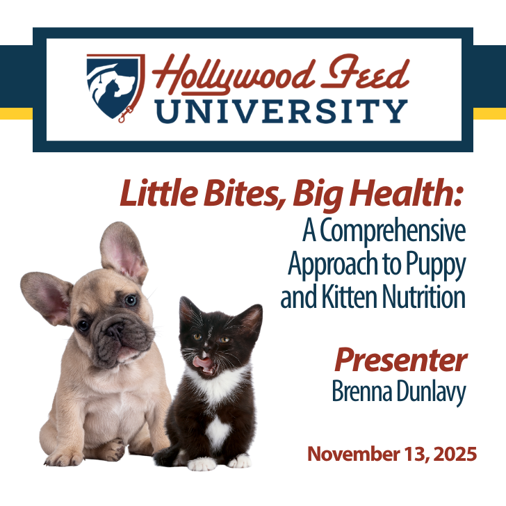 Read more about the article Little Bites, Big Health: A Comprehensive Approach to Puppy and Kitten Nutrition