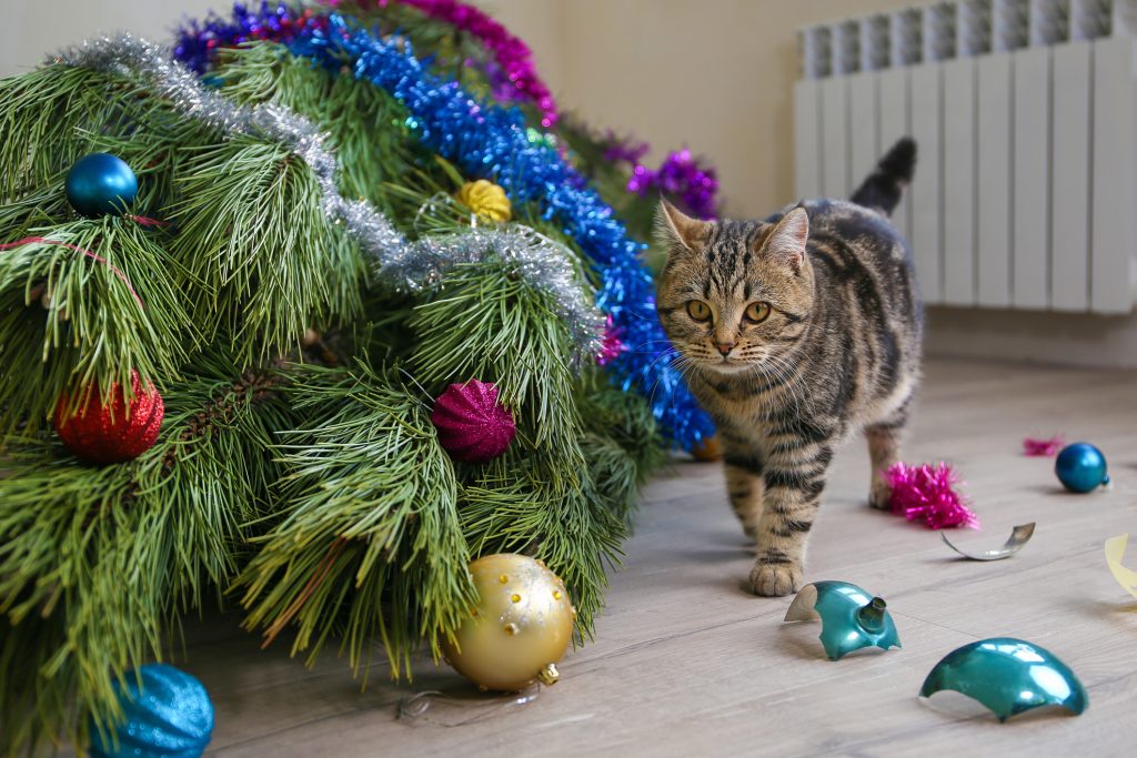 Keep Your Cat From Destroying the Christmas Tree, Christmas tree toys were broken.