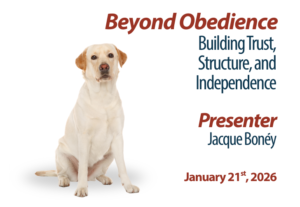 Beyond Obedience: Building Trust, Structure & Independence