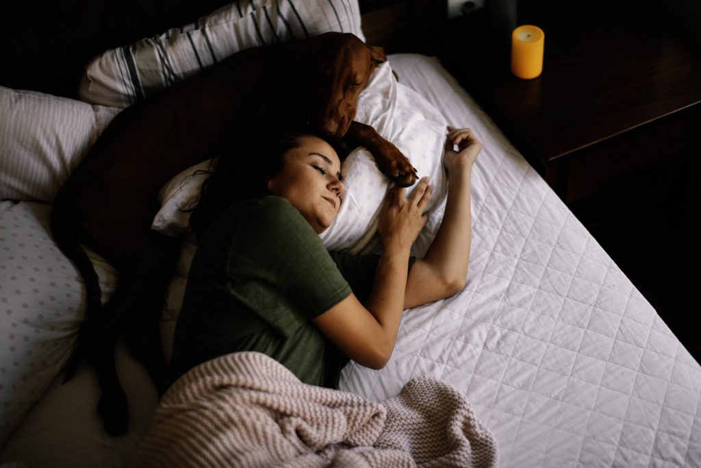 Vizsla Dog Breed lying on bed with her owner