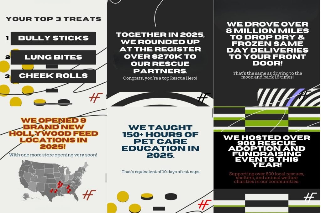 Hollywood Feed Wrapped 2025