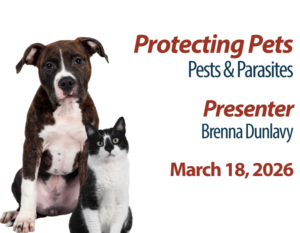 Protecting Pets: Pests & Parasites