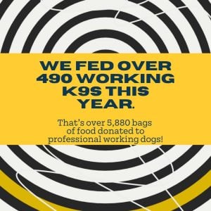 Hollywood Feed Wrapped 2025