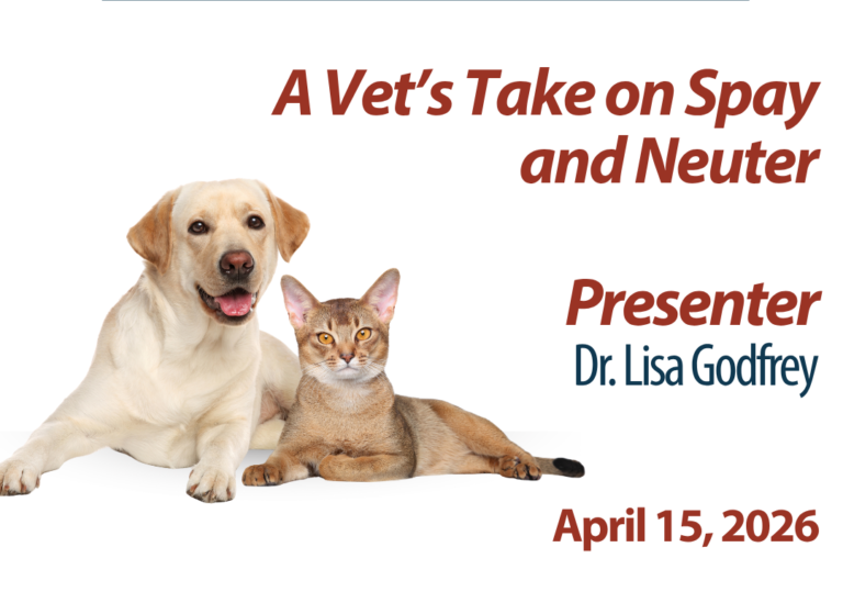 Hollywood Feed University A vets take on spay and neuter. Presenter Dr Lisa Godfrey April 15,2026