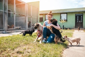 Adopt a new pet after pet loss, Young adult woman working and playing with dogs in animal shelter