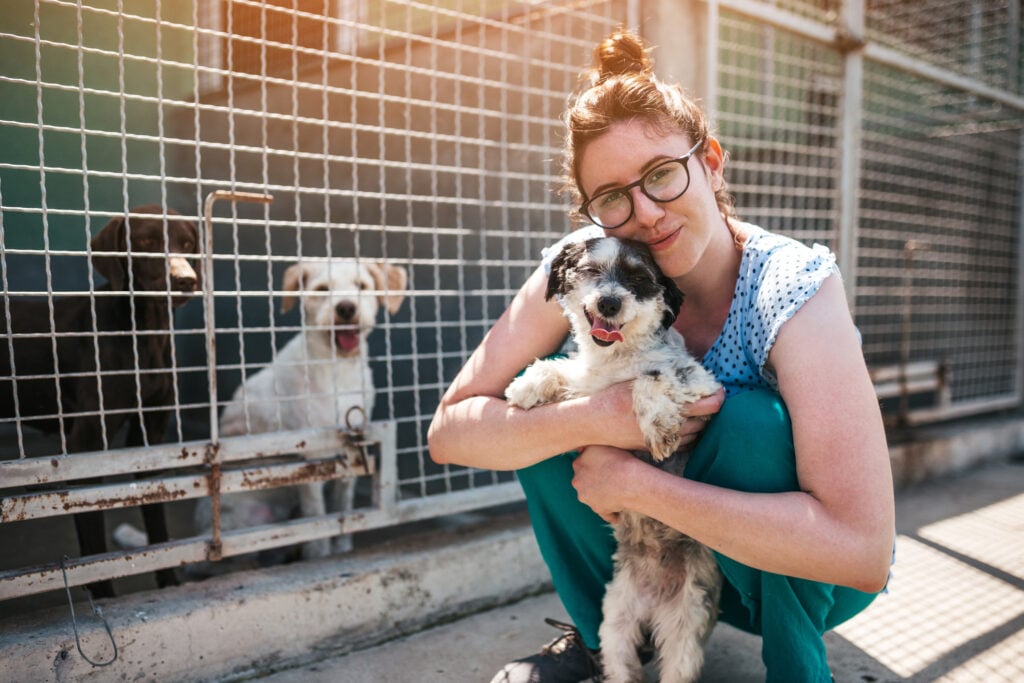 Young adult woman working and playing with dogs in animal shelter