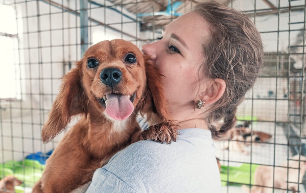 Close-up shot of female adopting a new pet after pet loss