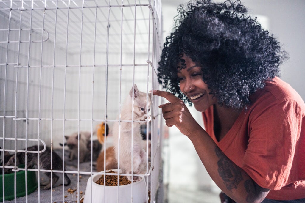 Mid adult woman adopting a cat at an animal shelter