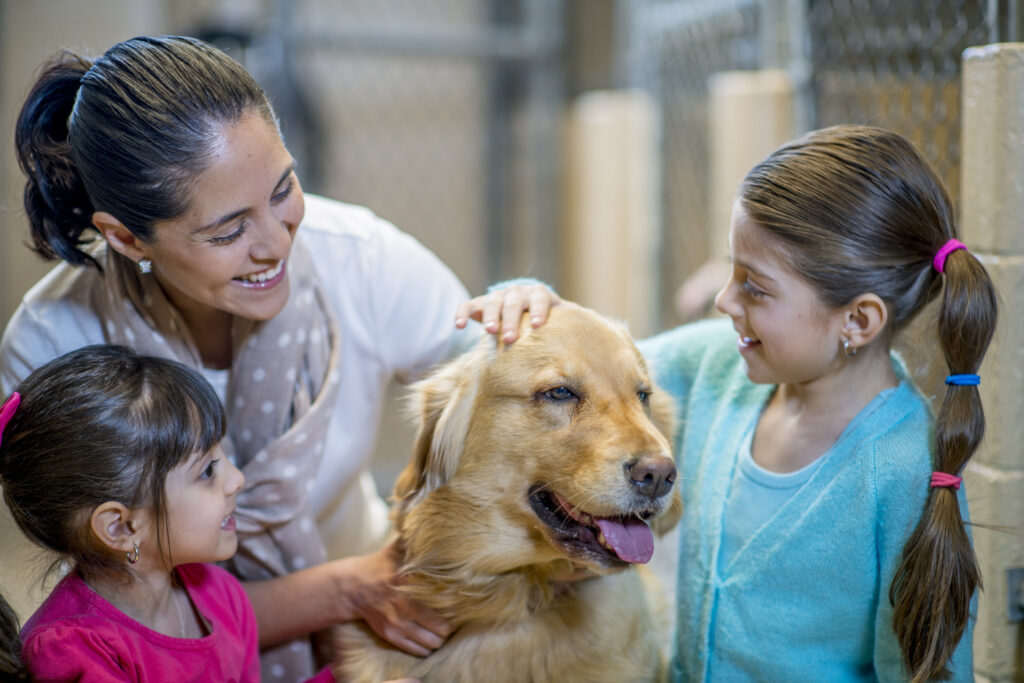 Adopt from a breeder or rescue. A mother and her daughters are at the pound to adopt a dog. They are petting the dog at the animal shelter.