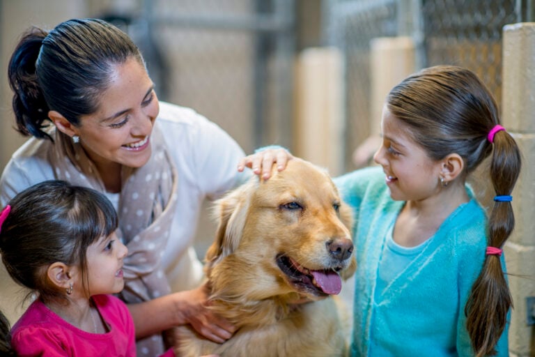 Adopt from a breeder or rescue. A mother and her daughters are at the pound to adopt a dog. They are petting the dog at the animal shelter.