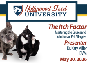 The Itch Factor: Taming Pet Allergies