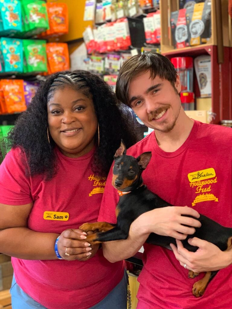 It takes a village to raise a pippy. Hollywood Feed Team helps with the puppy blues