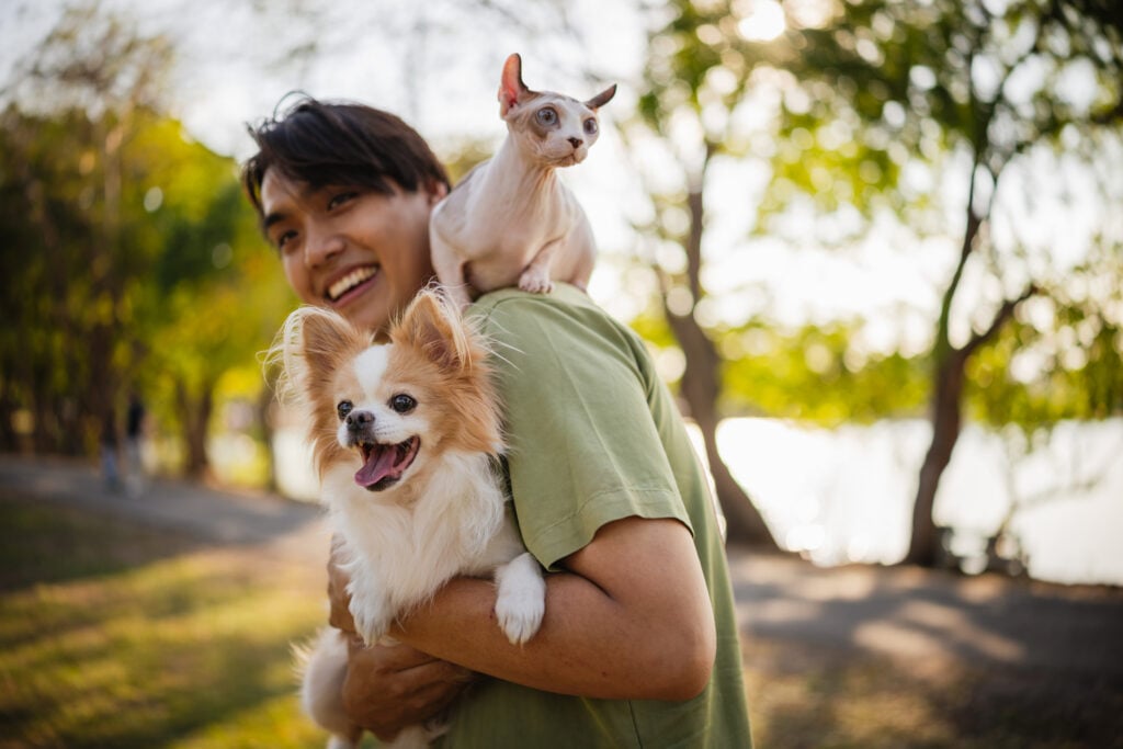 A smiling man holds a hairless Sphynx kitten and a fluffy Chihuahua in his arms in a park at sunset.