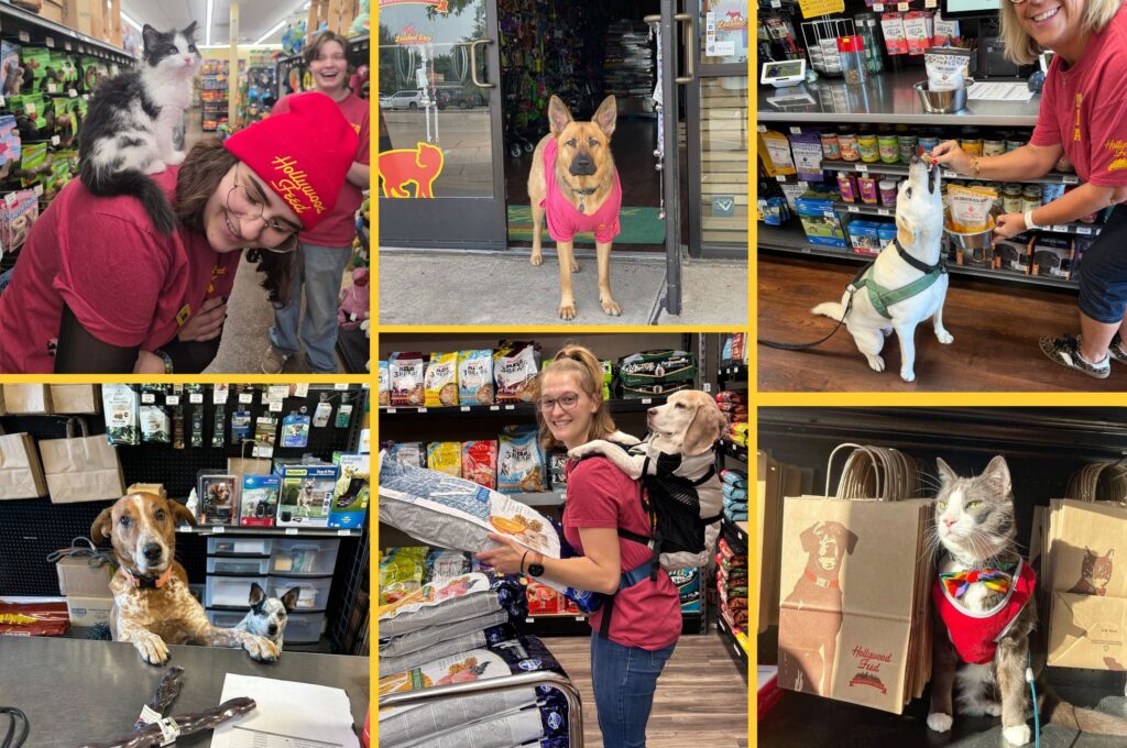 We feed our own, Hollywood Feed Employees and their pets