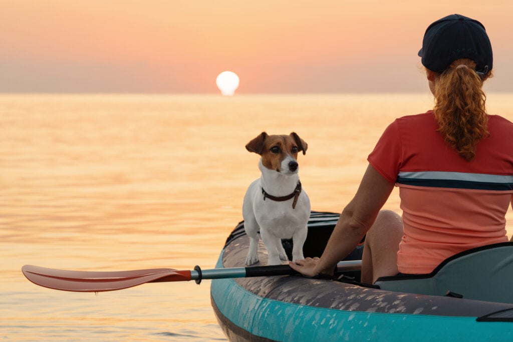 Healthy lifestyle. Silhouette female is rowing on an inflatable kayak by sea with dog Jack Russell Terrier on background of pink sunrise in beautiful nature. Great disk of rising sun. Sport. Travel