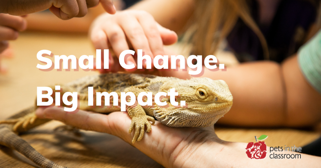 Round Up for Classroom Pets