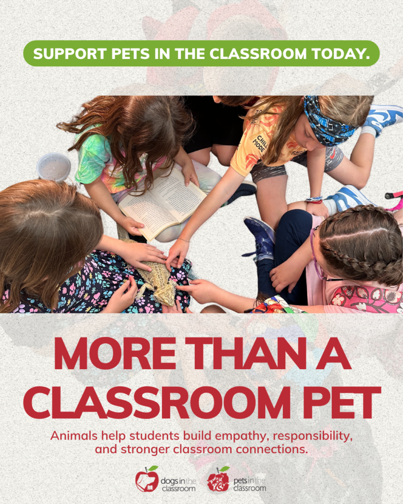Round Up for Classroom Pets
