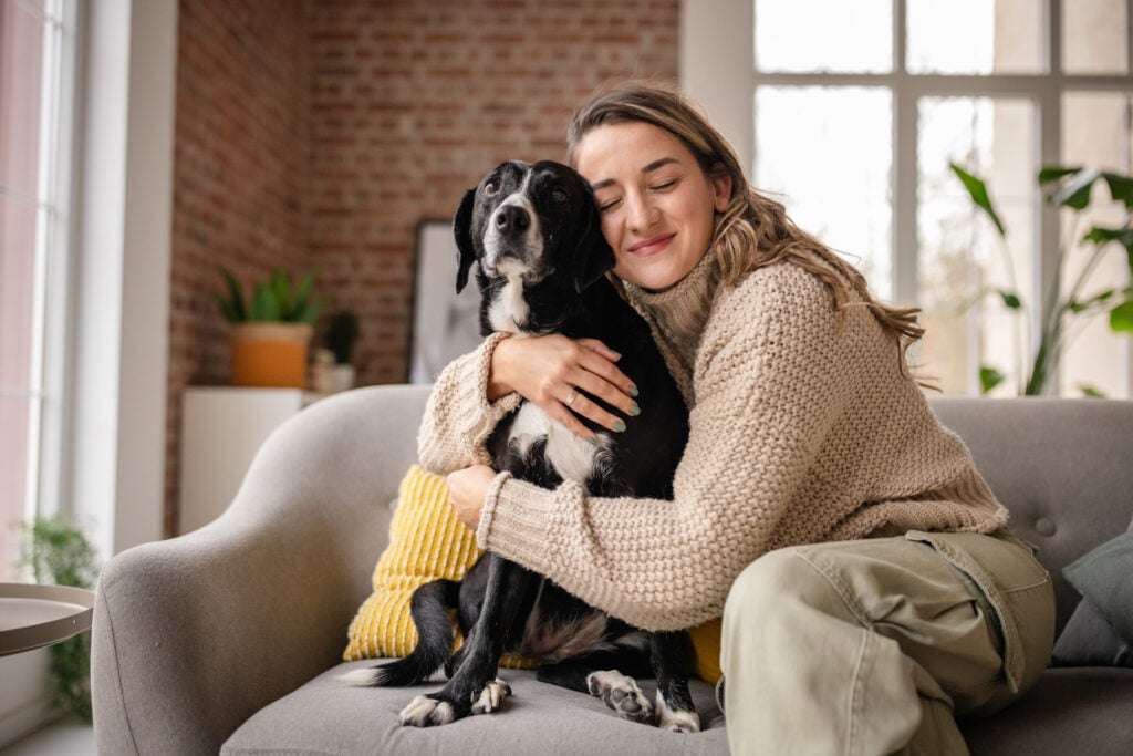 build a strong bond with your pet, A tranquil scene features a woman and her dog sitting contentedly on a gray sofa in a plant-decorated sunlit room, showcasing warmth and serene companionship.