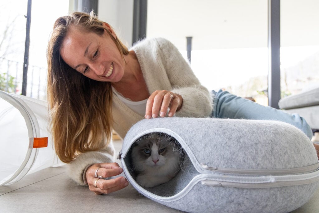 build a strong bond with your pet, Woman in her 30's spending time with her pet, playing with her purebred rag doll furry friend at home.