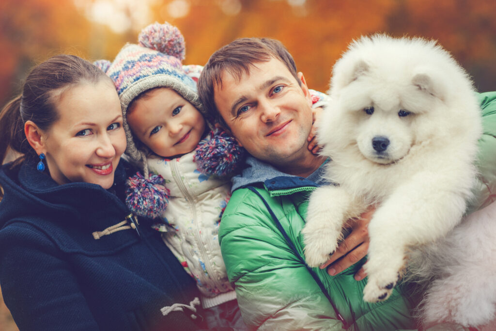 Young parents with their daughter and samoyed puppy outdoors in autumn park