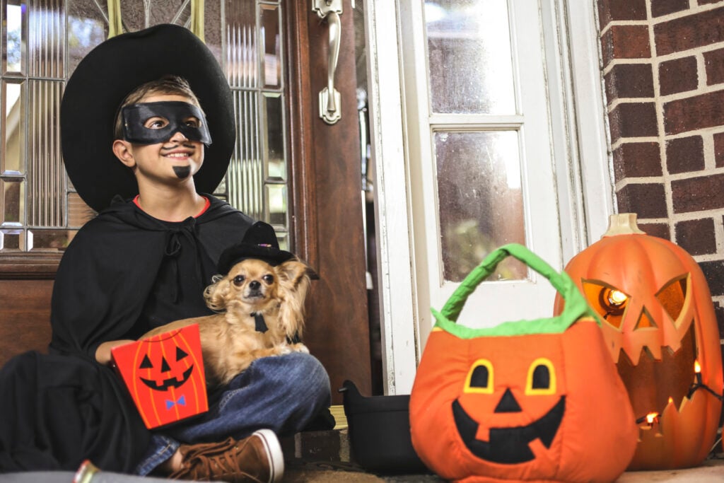 pet calming supplements for Halloween, Cute boy wearing his costume holding his pet dog excited about all the candy in jack o'lantern buckets he received after trick or treating on Halloween night.  He sits on front door stoop with Halloween decor around him.